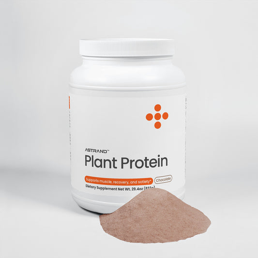 Plant Protein - Chocolate