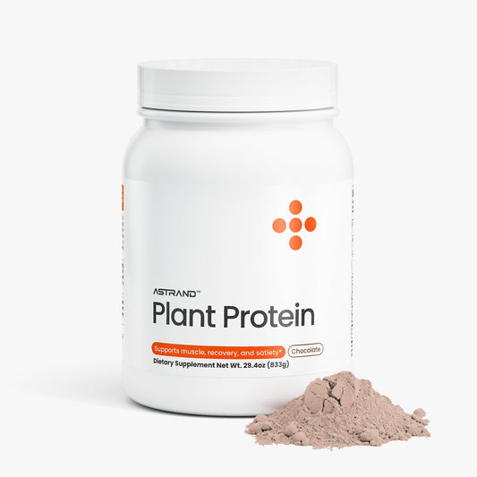 Plant Protein - Chocolate