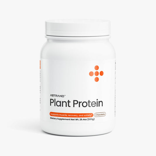 Plant Protein - Chocolate