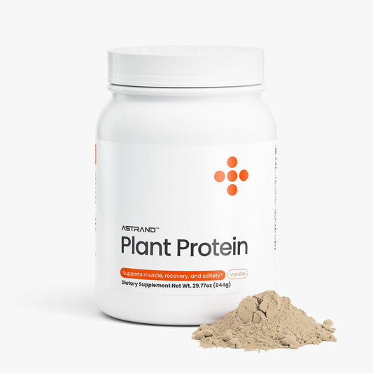 Plant Protein - Vanilla